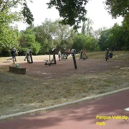 Martas *